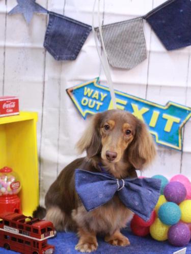 20230414りくくん